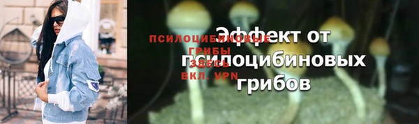 spice Алзамай