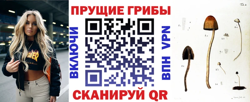 Псилоцибиновые грибы прущие грибы Мензелинск